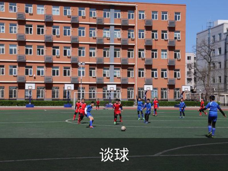 谈球介绍